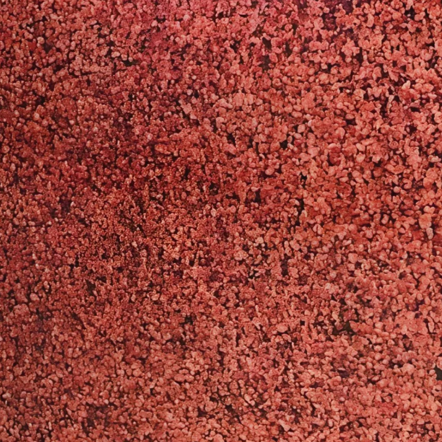 Imperial Red granite swatch