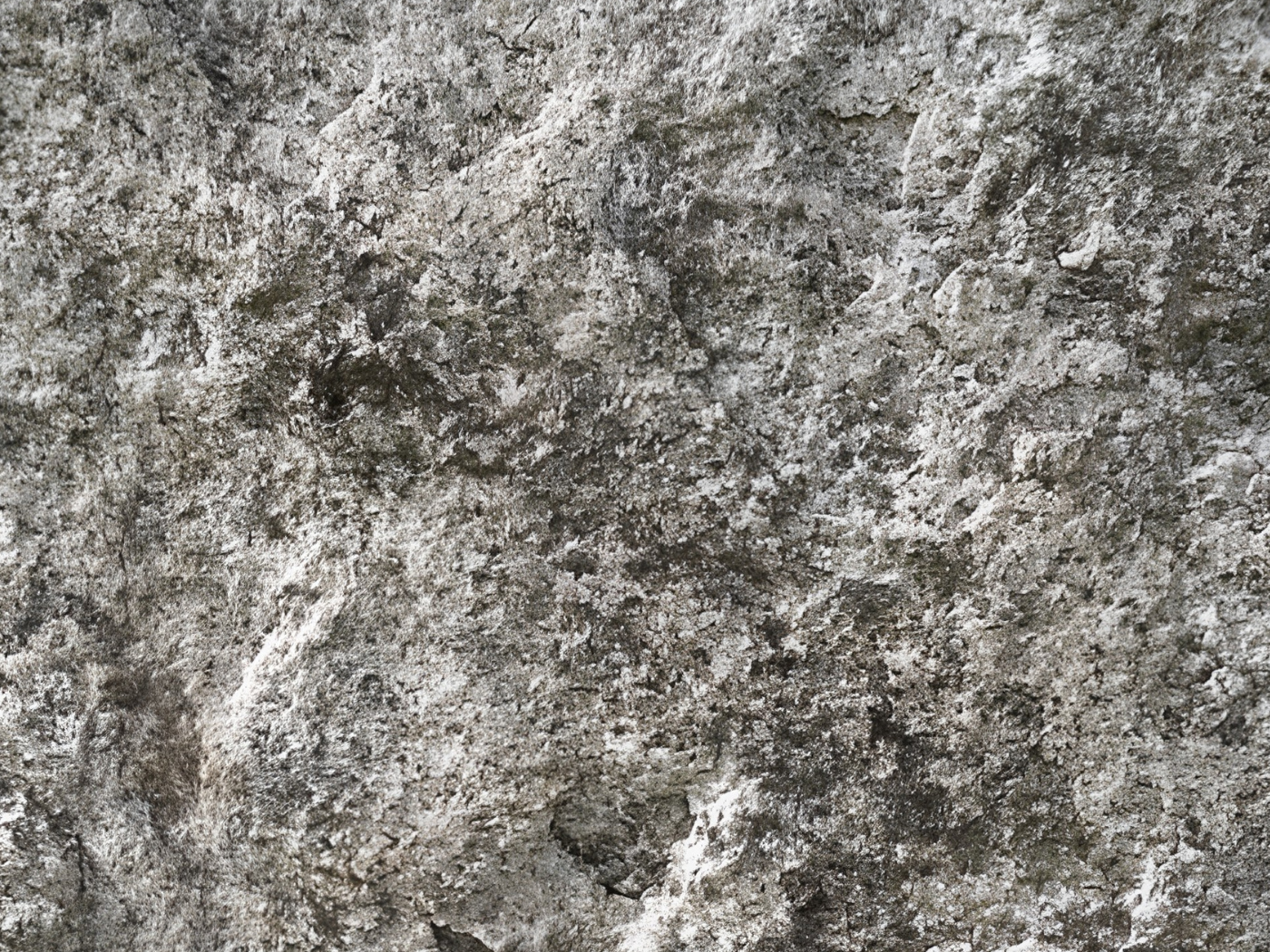 Macro detail of natural granite texture and mineral flecking